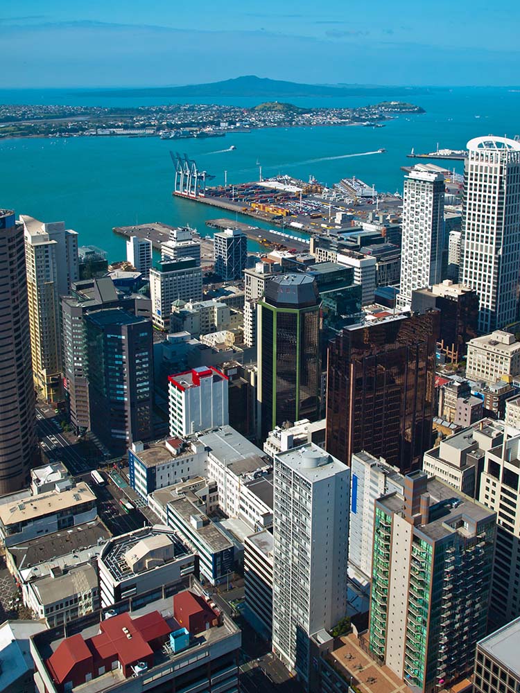 Aerial view of New Zealand City.