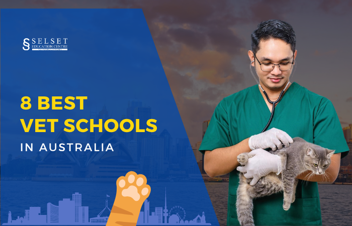 8&nbsp;Best Vet Schools in Australia&nbsp;to Study Veterinary Science