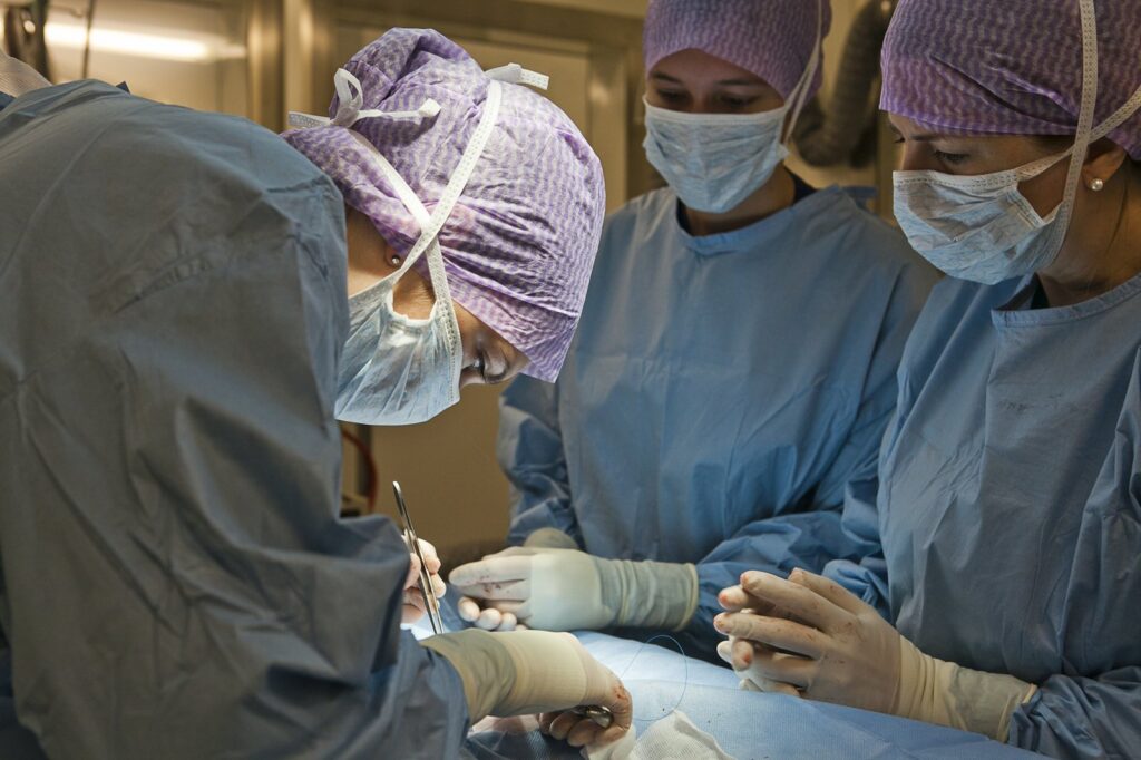 Veterinary students in surgery during the clinical professional phase of a veterinary course