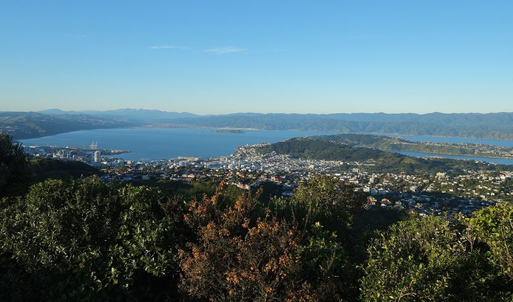 Wellington city and harbour, where you can study actuarial science at Victoria University of Wellington